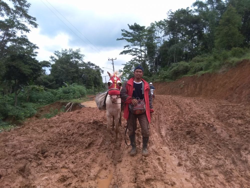 Gunakan Kuda, Relawan Muhammadiyah Tembus Daerah Terisolir Terdampak Banjir